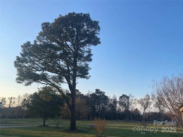 485 Harper Miller Dr, Cleveland, NC 27013 - photo 6