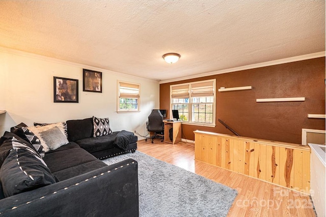 living area featuring a textured ceiling, ornamental molding, and wood finished floors