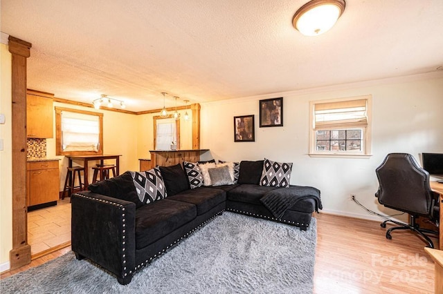 living area with light wood-type flooring, crown molding, and a textured ceiling