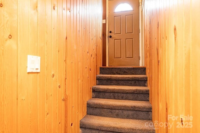 staircase with wooden walls