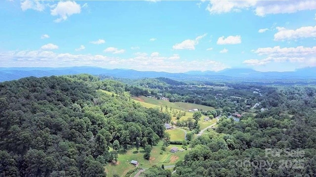 223 Deer Path Ln, Asheville NC, 28806 land for sale