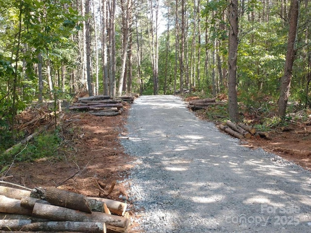 223 Deer Path Ln, Asheville, NC 28806 - photo 6