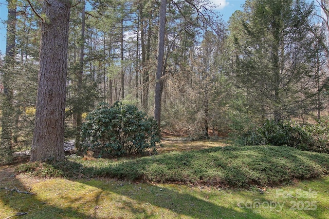view of yard with a view of trees
