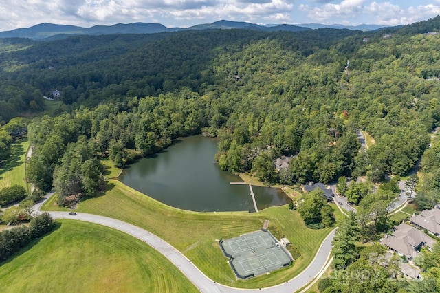 bird's eye view featuring a view of trees and a water and mountain view