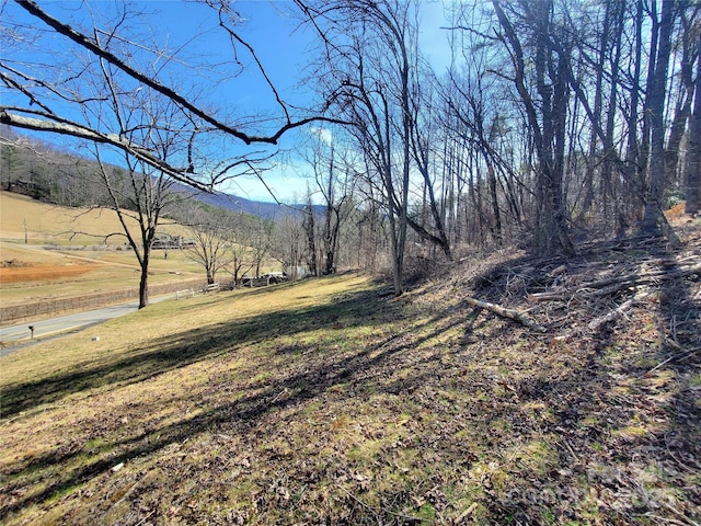 view of landscape featuring a mountain view