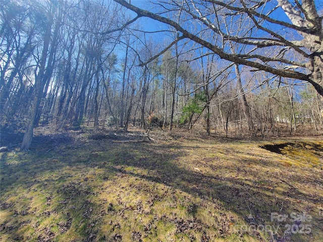 view of yard with a forest view