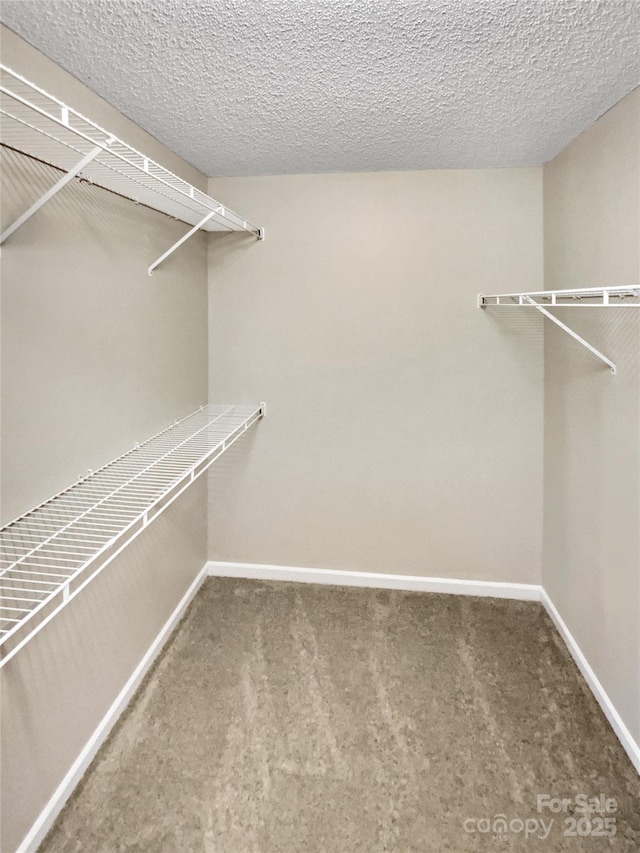 walk in closet with carpet flooring