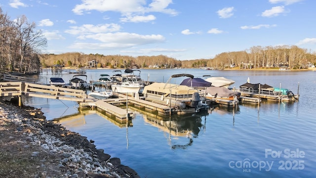 dock area with a forest view and a water view