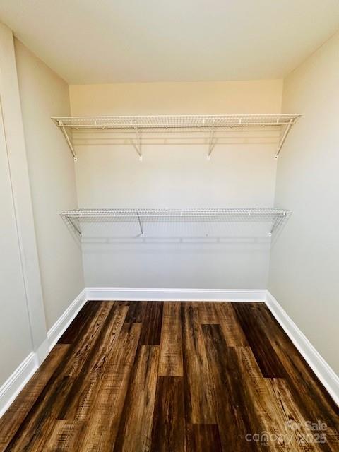 walk in closet featuring wood finished floors