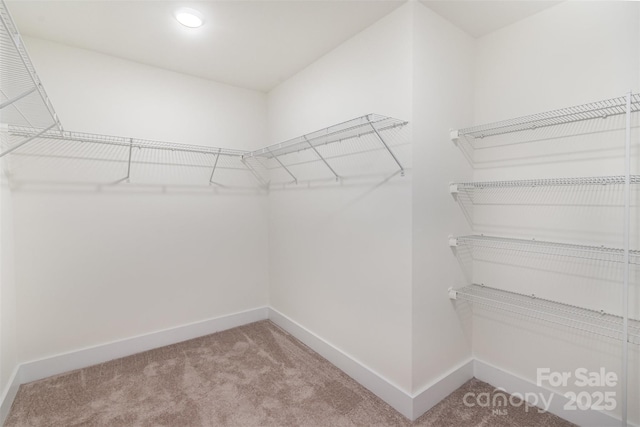 spacious closet with carpet