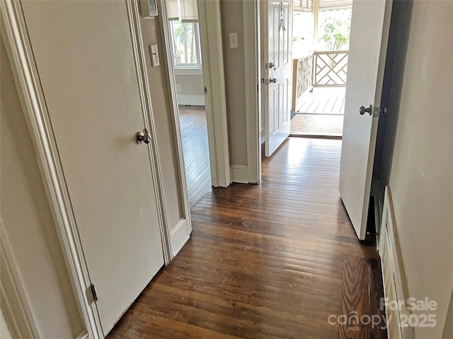 hallway with baseboards, dark wood-style flooring, and a healthy amount of sunlight