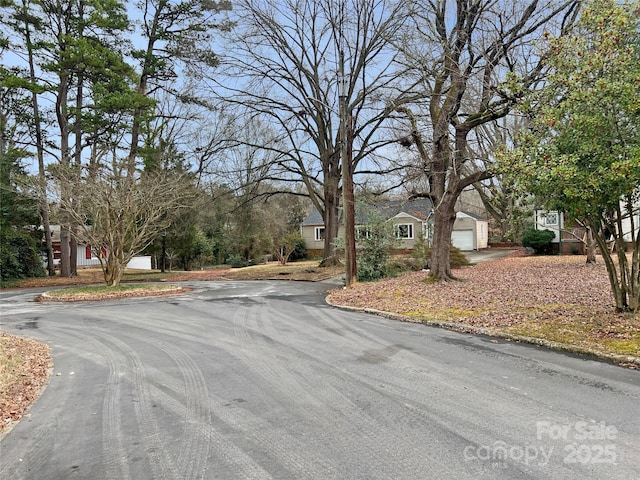 view of street with curbs