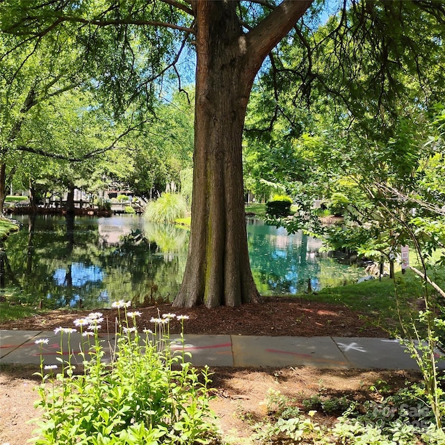 2545 Stockbridge Dr, Charlotte, NC 28210 - view of yard with a water view