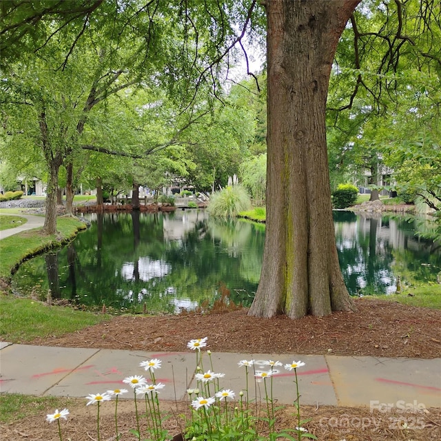 2545 Stockbridge Dr Unit A, Charlotte, NC 28210 - water view
