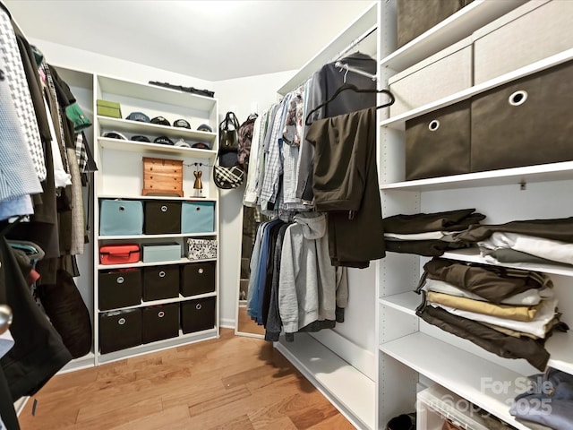 spacious closet featuring wood finished floors