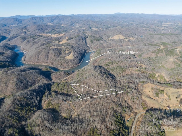 LOT40 Henry Worley Ln, Marshall NC, 28753 land for sale