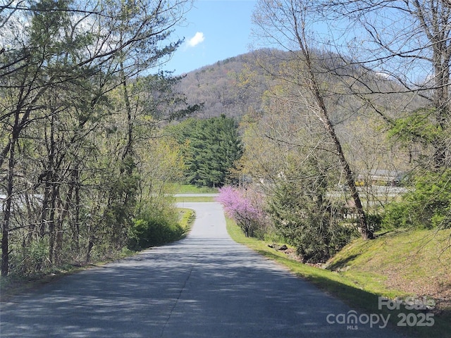 Listing photo 2 for 00 Tanner Trl, Waynesville NC 28785