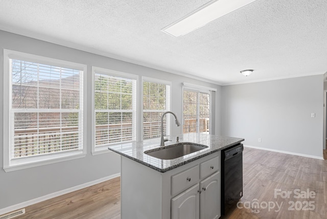 6 Clark Meadow Ln, Candler, NC 28715 - kitchen featuring black dishwasher, visible vents, light wood-type flooring, and a sink