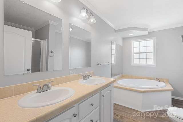 6 Clark Meadow Ln, Candler, NC 28715 - bathroom featuring a sink, crown molding, and a garden tub