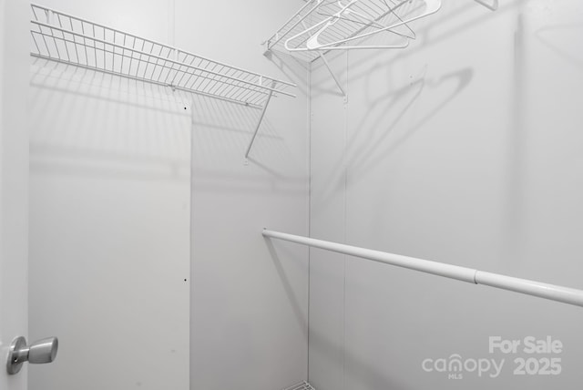 6 Clark Meadow Ln, Candler, NC 28715 - view of spacious closet