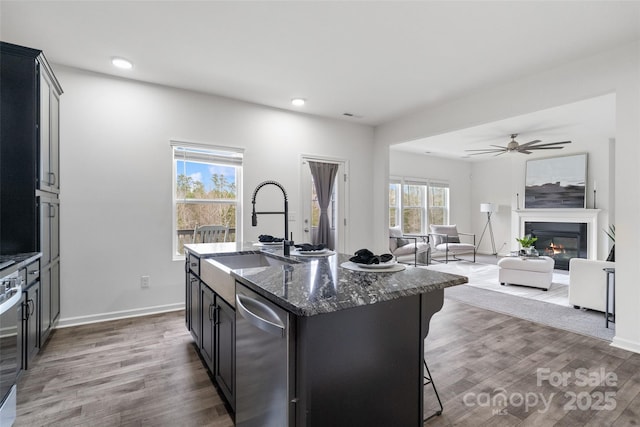 kitchen featuring a glass covered fireplace, a sink, dishwasher, and wood finished floors