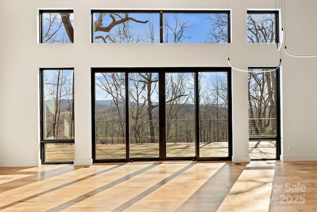 doorway featuring baseboards, a high ceiling, and wood finished floors