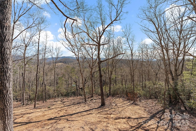 view of mountain feature featuring a view of trees