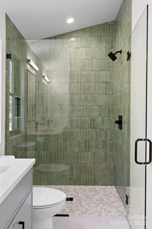 full bathroom featuring a shower stall, toilet, and vanity