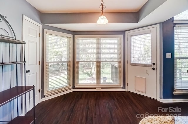 foyer featuring dark wood finished floors and plenty of natural light