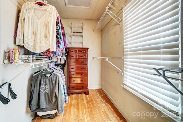 walk in closet featuring attic access and light wood-style floors