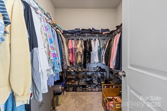 walk in closet with carpet floors