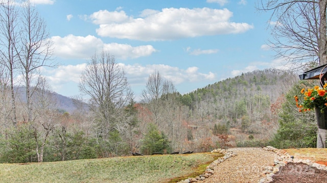 property view of mountains featuring a view of trees