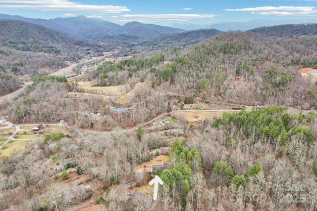 birds eye view of property featuring a mountain view and a view of trees