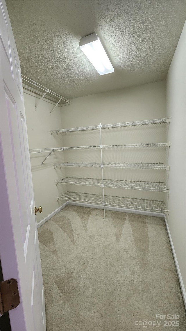 spacious closet with carpet flooring