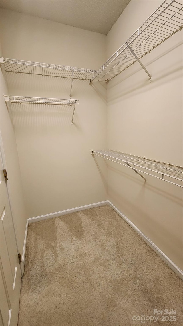 spacious closet with carpet floors