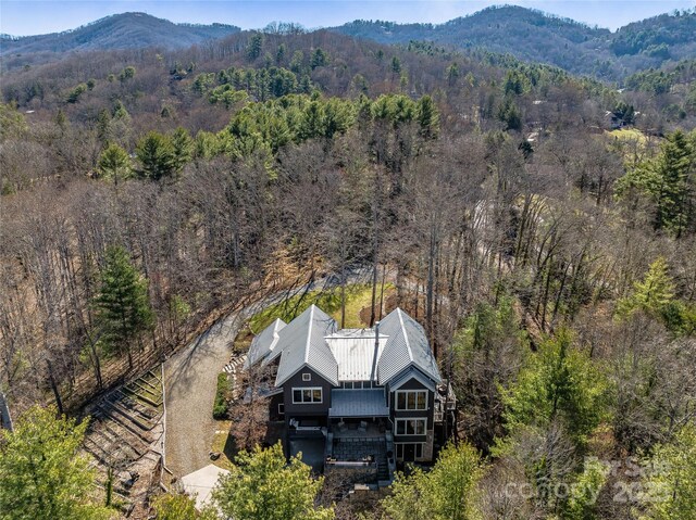 18 Wolfe Cove Rd, Asheville, NC 28804 - photo 4