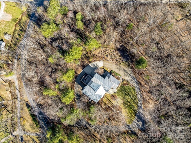 18 Wolfe Cove Rd, Asheville, NC 28804 - photo 48