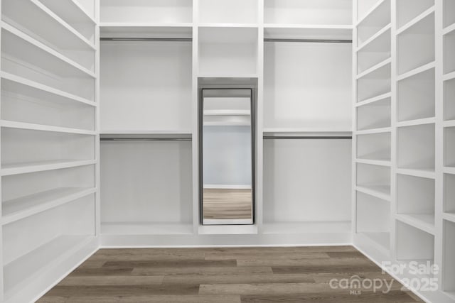 spacious closet featuring wood finished floors