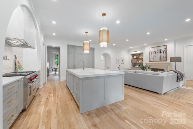 5124 Lansing Dr, Charlotte, NC 28270 - kitchen featuring gray cabinetry, range with two ovens, a sink, premium range hood, and arched walkways