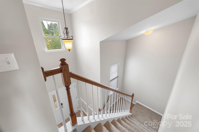 staircase with crown molding, baseboards, and carpet floors