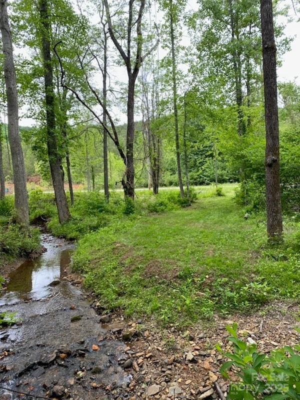 0 Pine Needle Ln, Bostic NC, 28018 land for sale