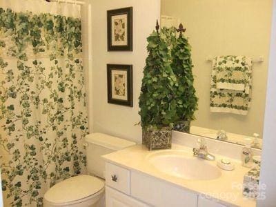 bathroom with vanity, toilet, and a shower with curtain