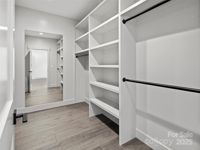 walk in closet featuring wood finished floors