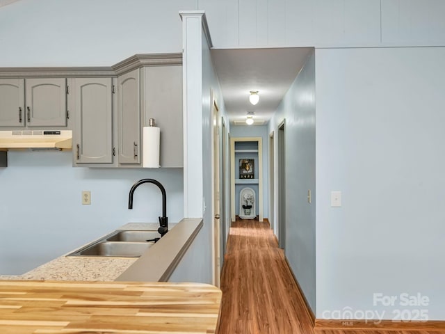 kitchen featuring gray cabinetry, under cabinet range hood, a sink, wood finished floors, and light countertops