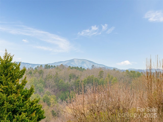 property view of mountains featuring a view of trees