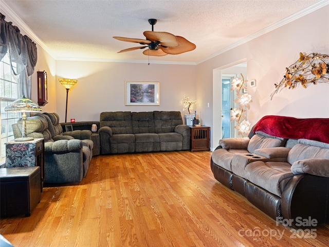 living area featuring light wood finished floors, a textured ceiling, crown molding, and a ceiling fan