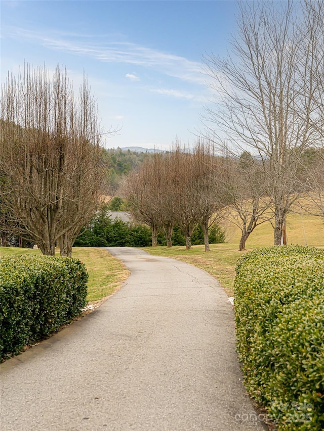 view of home's community featuring a lawn