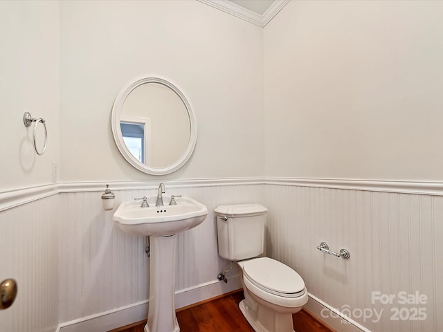 half bathroom featuring a wainscoted wall, a sink, toilet, and wood finished floors