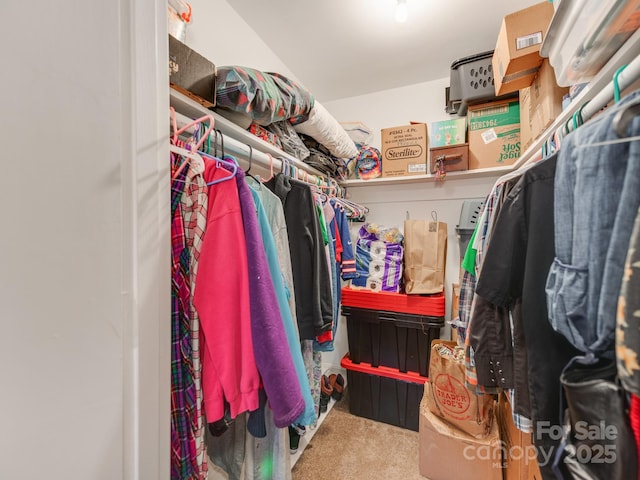 spacious closet with carpet floors