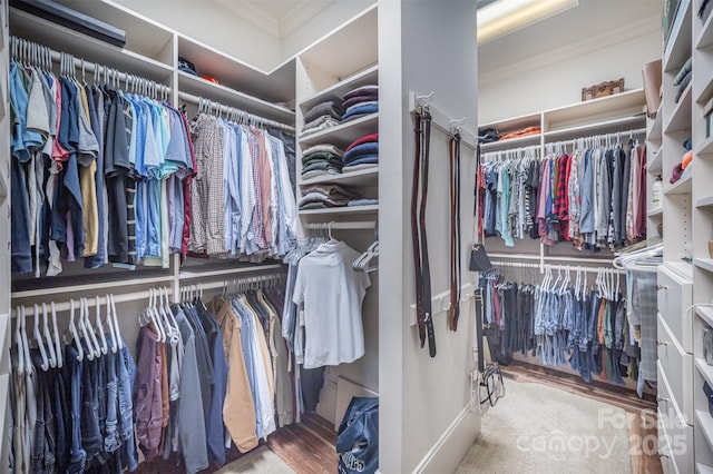 walk in closet with wood finished floors